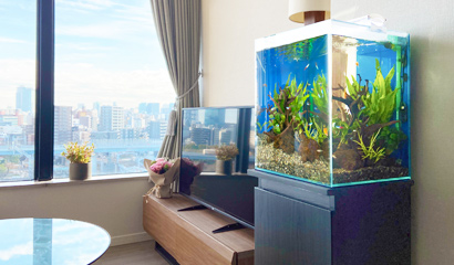 小型水槽 レンタル料金