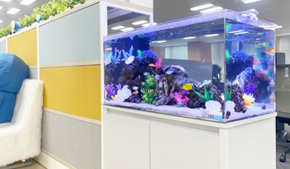 中型水槽 レンタル料金