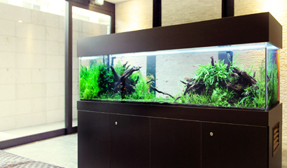 大型水槽 レンタル料金