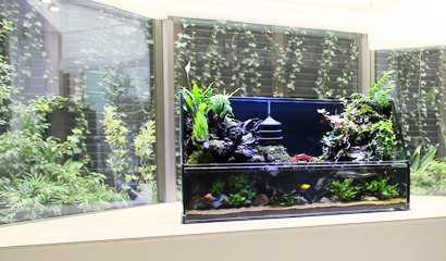 大型水槽 レンタル料金