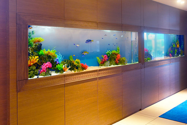 大型海水魚水槽 レンタル リース 料金