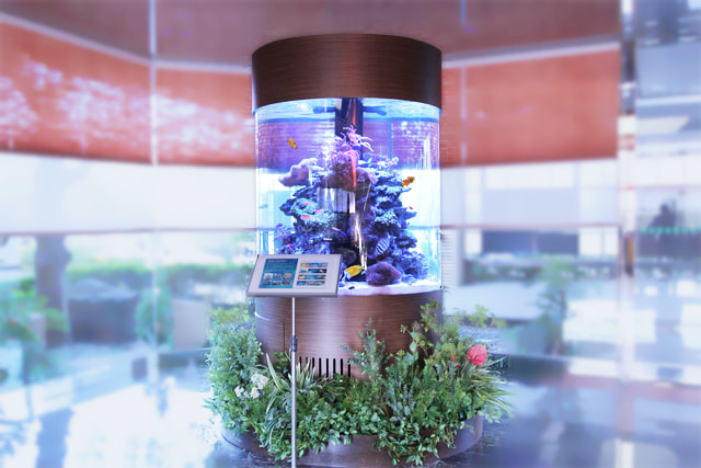 円柱水槽 レンタル リース 料金