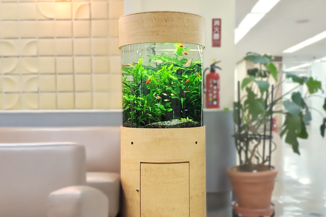 円柱水槽