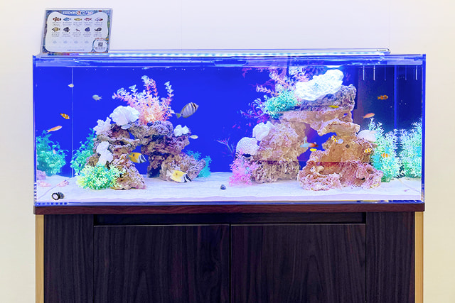 120cm海水魚水槽 レンタル リース 料金