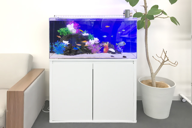 90cm海水魚水槽 レンタル リース 料金