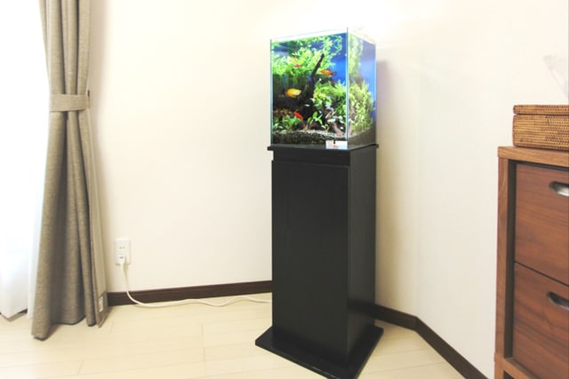 30cm淡水魚水槽