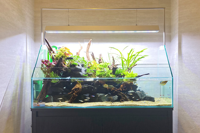 アクアテラリウム水槽 レンタル リース 料金