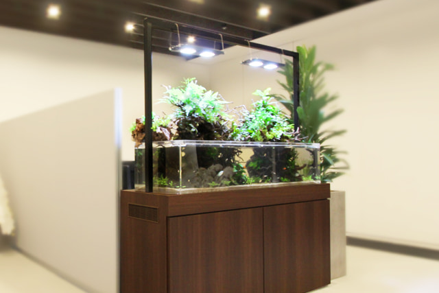 アクアテラリウム水槽