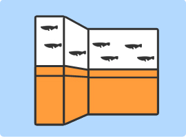 金魚水槽レンタル 特注