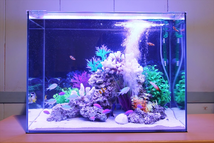 水槽レンタル Ｑ＆Ａ 水換え 量