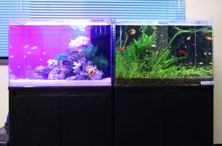 水槽レンタル Ｑ＆Ａ 変更