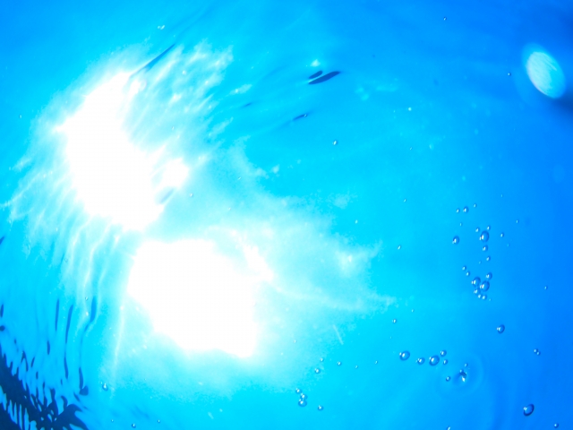 水槽レンタル Ｑ＆Ａ 海水