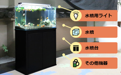 金魚水槽 レンタル