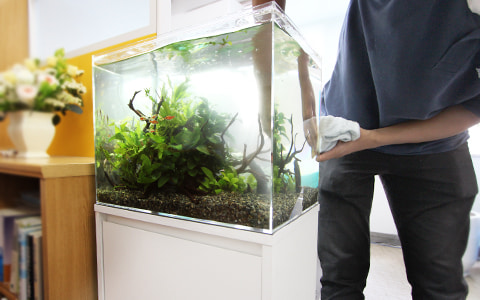 金魚水槽レンタル 特徴 設置