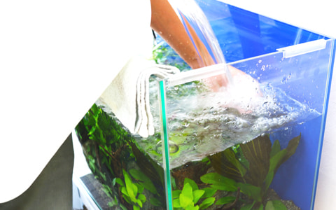 金魚水槽レンタル 水槽管理 メンテナンス