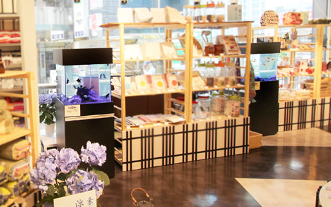 金魚水槽レンタル インテリア 効果