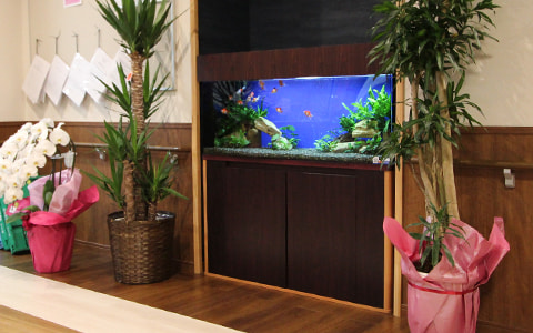 金魚水槽レンタル 介護施設 老若男女