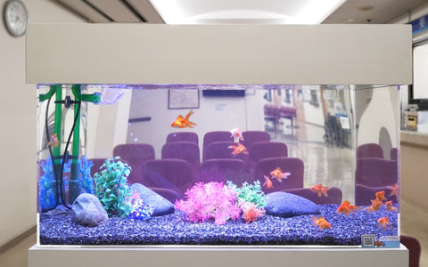 金魚水槽レンタル 外部フィルター