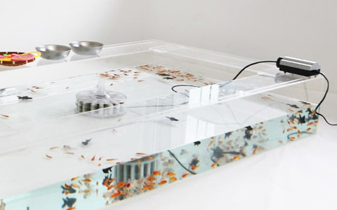 金魚水槽レンタル 投げ込みフィルター