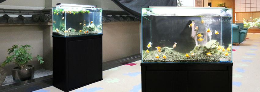 金魚水槽レンタルサービス 内容
