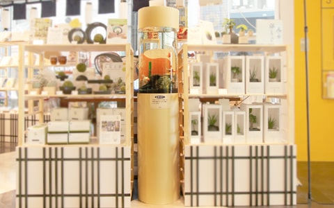 金魚水槽 設置場所 デザイン