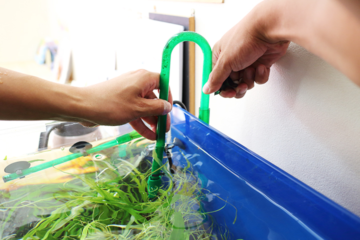 水槽レンタル Ｑ＆Ａ 状態