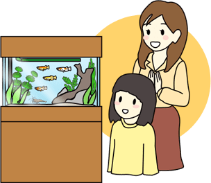 メダカ水槽を簡単に設置