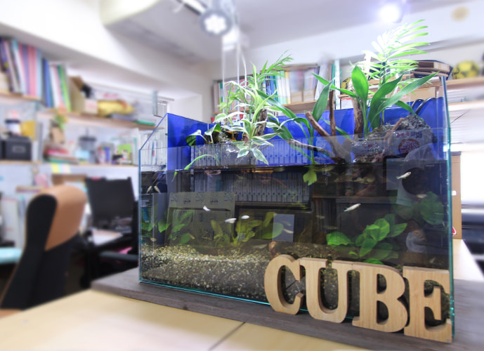 港区 企業様 オフィスのアクアテラリウム水槽