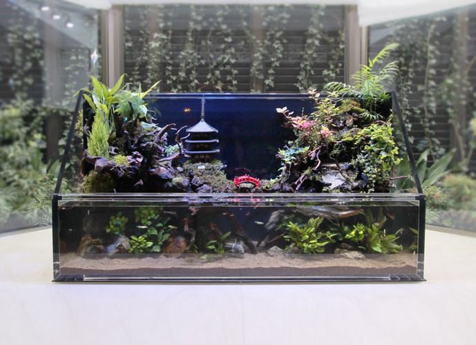 ホテル 客室に設置 テラリウム水槽(アクアテラリウム)の事例
