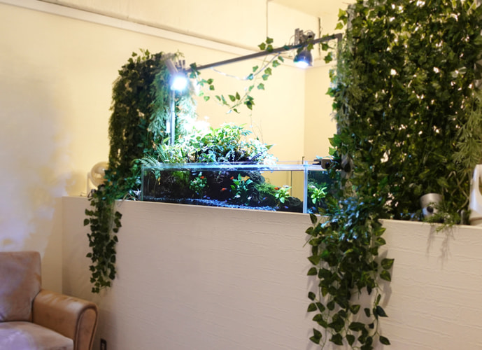 120cmアクアテラリウム水槽 レンタル事例