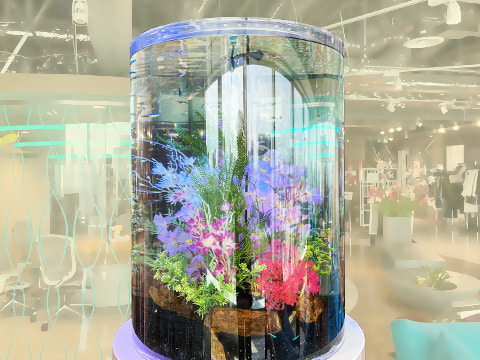 カラフル おしゃれ 水槽