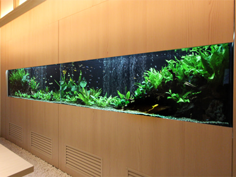 和風 高級感 水槽