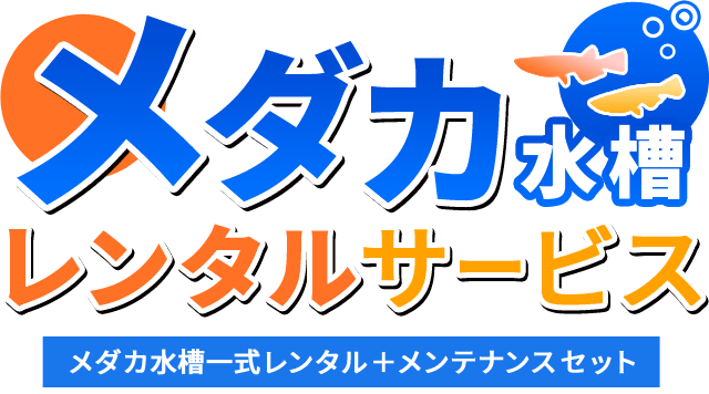 メダカ水槽レンタルサービス