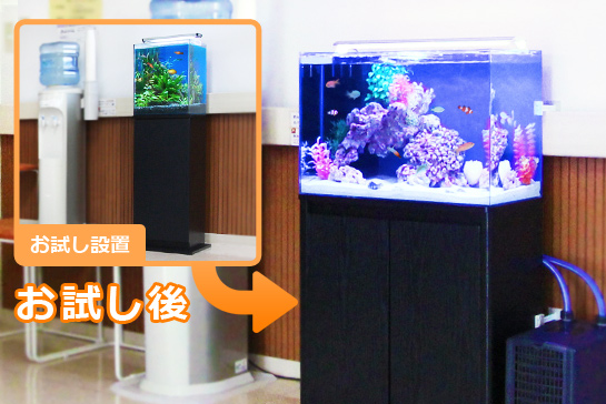 クリニックで水槽レンタルお試しキャンペーン