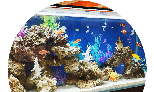 定期メンテナンスサービス付きで安心