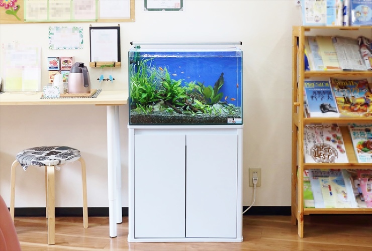 水槽レンタル Ｑ＆Ａ 水槽台