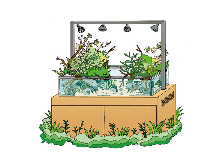 イメージイラストの例