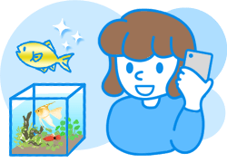 水槽レンタル流れ お問い合わせ