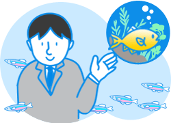 水槽レンタル流れ 打ち合わせ