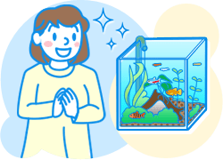 水槽レンタル流れ サービス開始