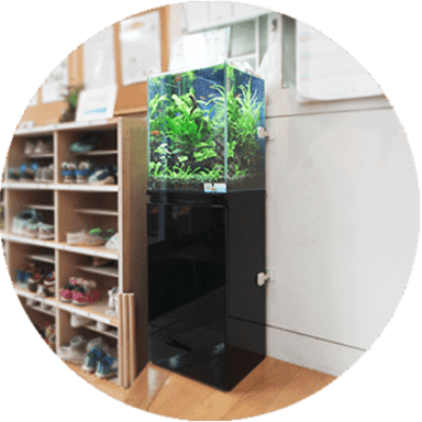 水槽レンタル 設置後