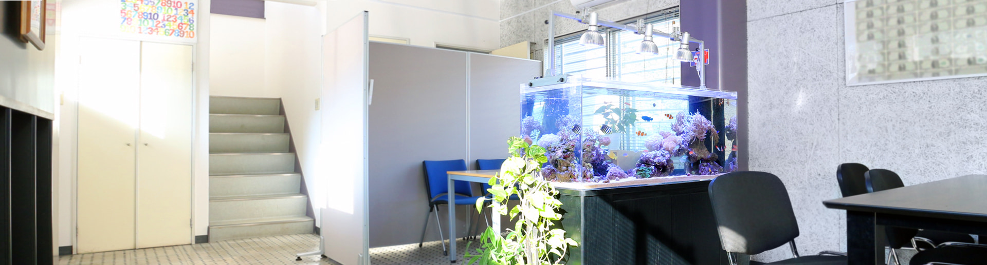 水槽レンタル 東京アクアガーデン 海水魚水槽