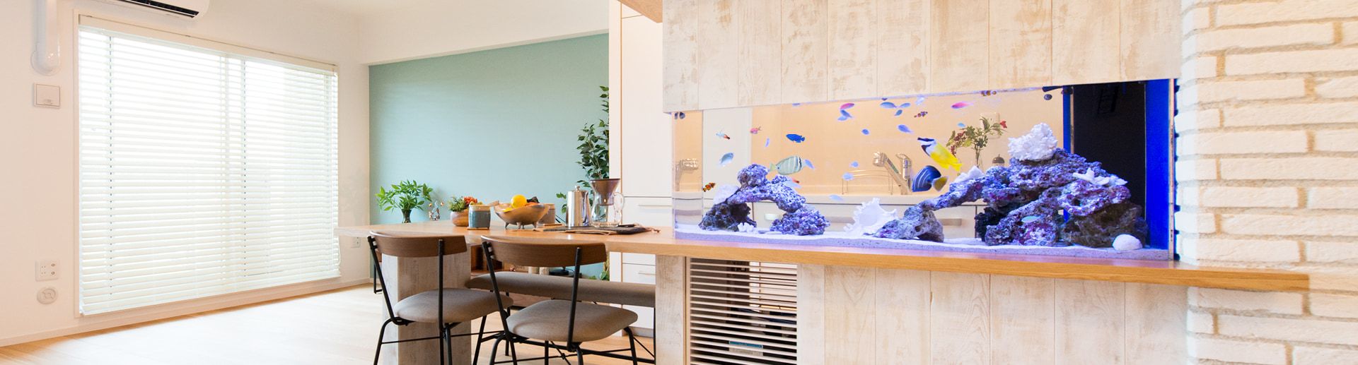 水槽レンタル 東京アクアガーデン 自宅