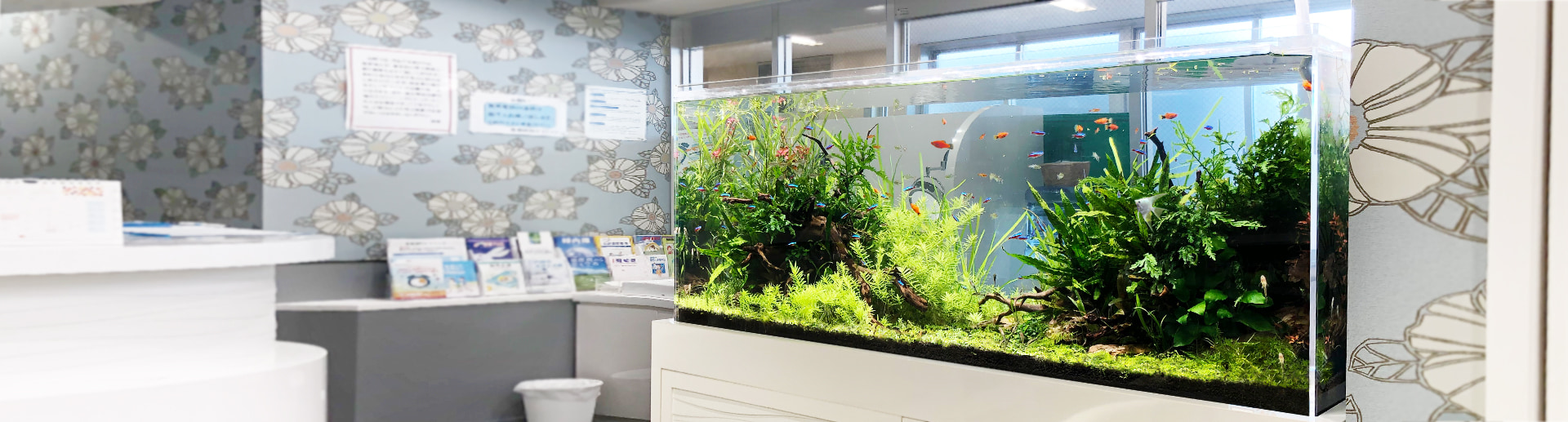 水槽レンタル 東京アクアガーデン 病院 クリニック