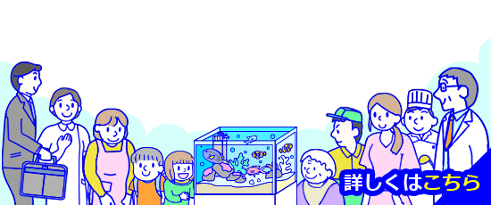 水槽レンタル事例一覧はこちら