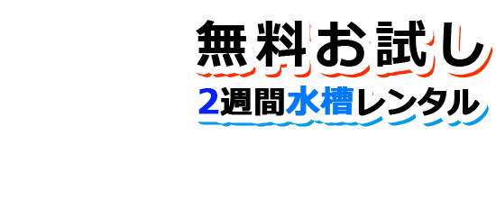 2週間無料！水槽お試しレンタルはこちら