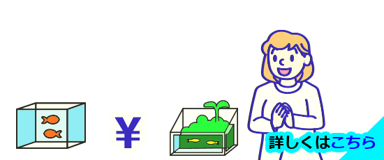 水槽レンタルの料金はこちら