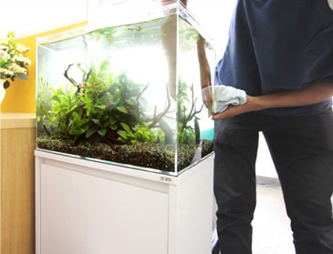 東京アクアガーデン水槽レンタル アクアリウム未経験でもOK