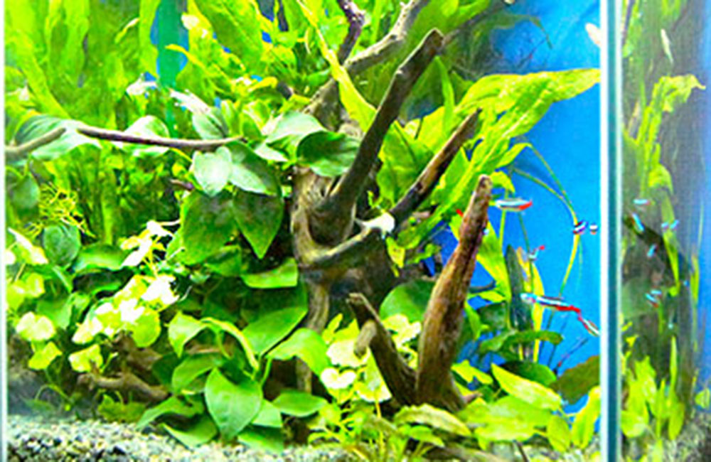 株式会社T 様のレビュー