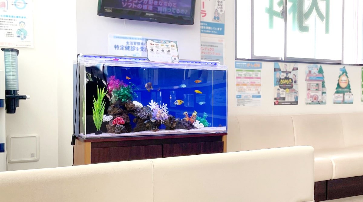 病院やクリニックの水槽レンタルリース
